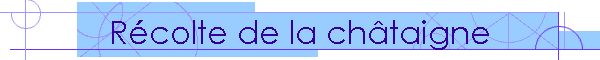 Rcolte de la chtaigne